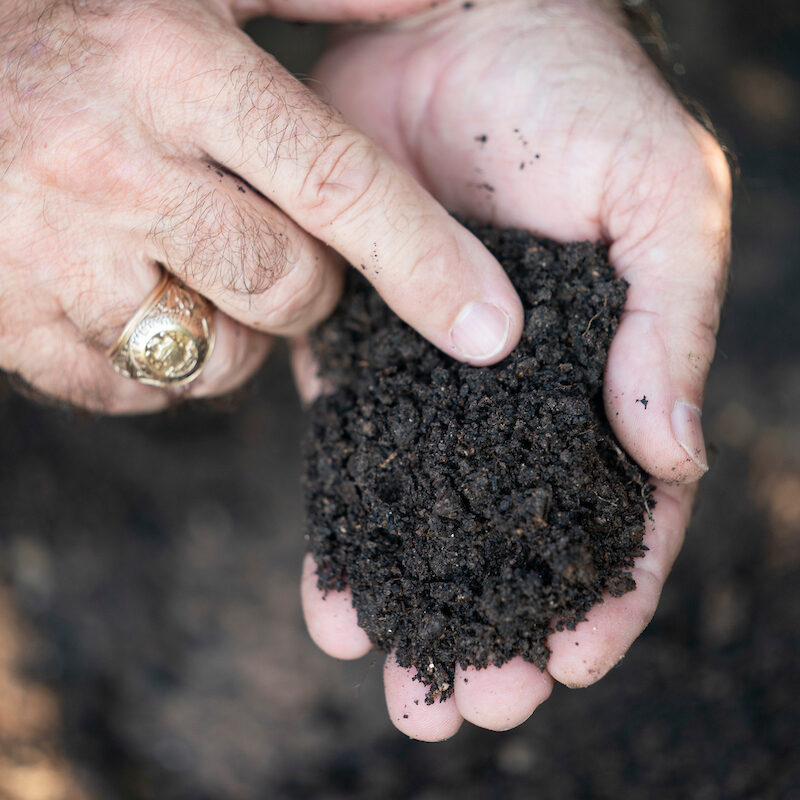 Soil in a person's hands