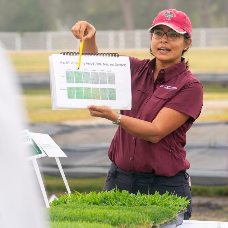 Woman in maroon shirt and baseball cap holding a chart over a patch of turfgrass sod on a table. she is presenting to an audience who are off camera