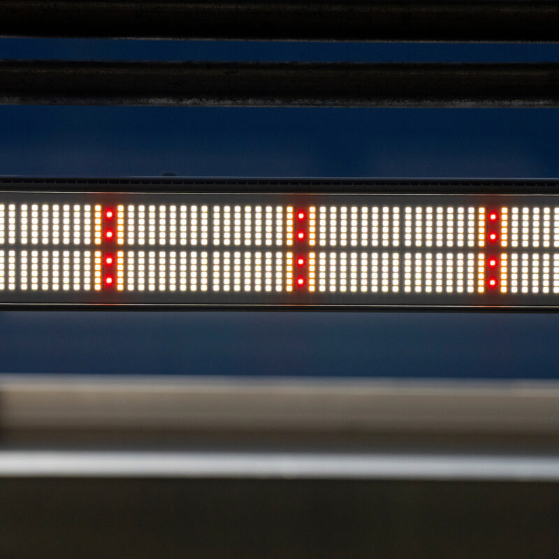 Led light bar close up, red and white lights