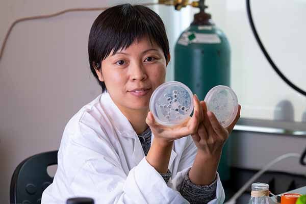 Dr. Susie Dai holding a Petri dish