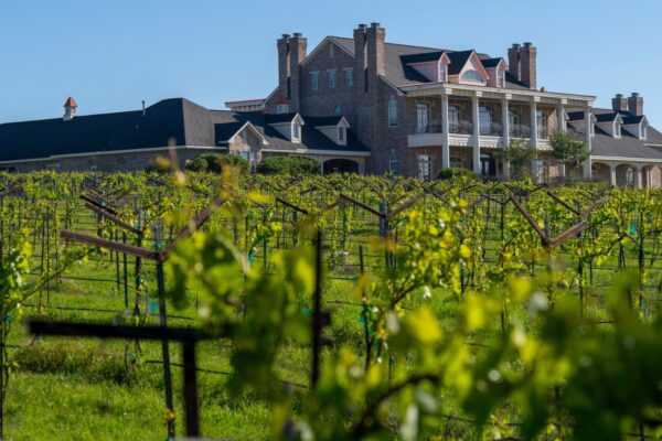 A mansion in focus behind a sprawling out-of-focus vinyard