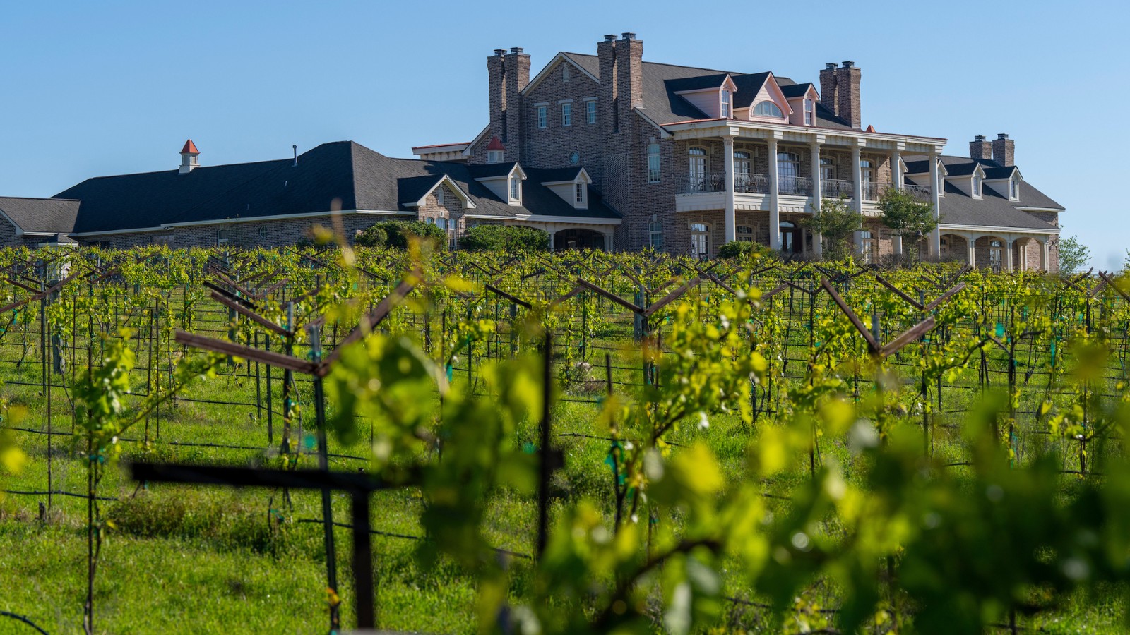 A mansion in focus behind a sprawling out-of-focus vinyard