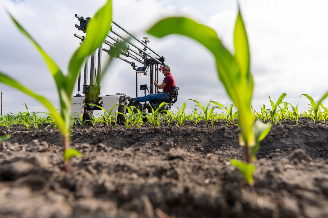 A man driving a ride-on robot through a row crop of corn seedlings